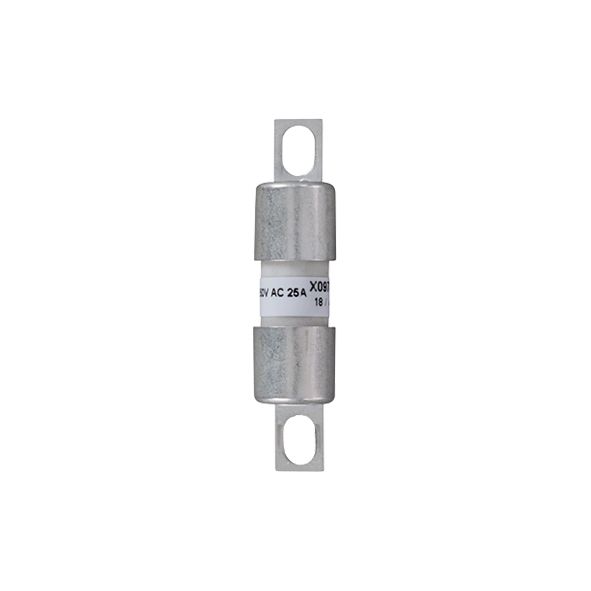 X097494 - Size 10x28 aR 250VAC without trip indicator gR 25 A VAC